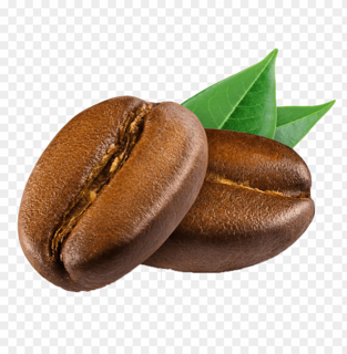 دان قهوه